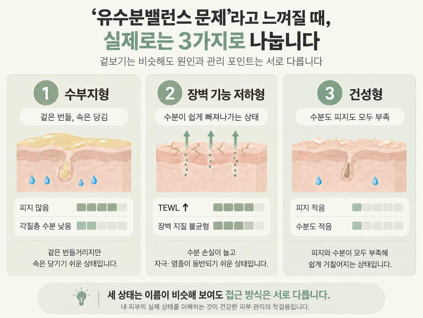 "유수분밸런스 문제"라는 표현이 나타내는 세 가지 서로 다른 피부 상태를 보여주는 그림